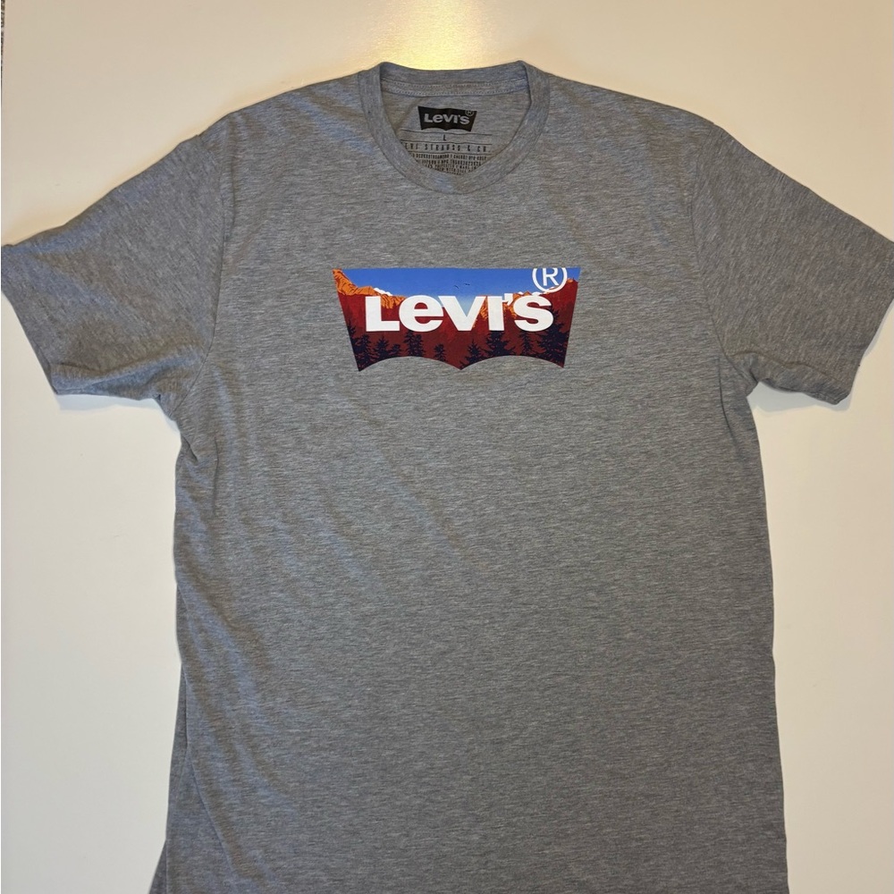Levi's Gray Graphic Tee